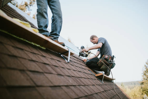 Best New Roof Installation  in Burr Ridge, IL
