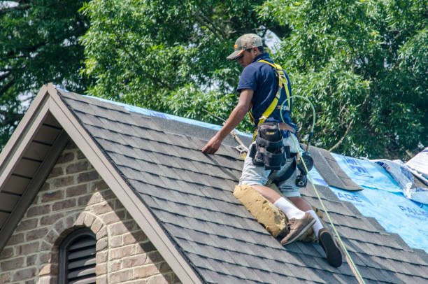 Best New Roof Installation  in Burr Ridge, IL